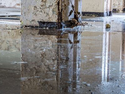 About Black Mold Removal Angleton - black mold removal experts in Angleton